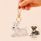 PetForever™-איתך לתמיד לשמור את החבר הכי נאמן קרוב ללב